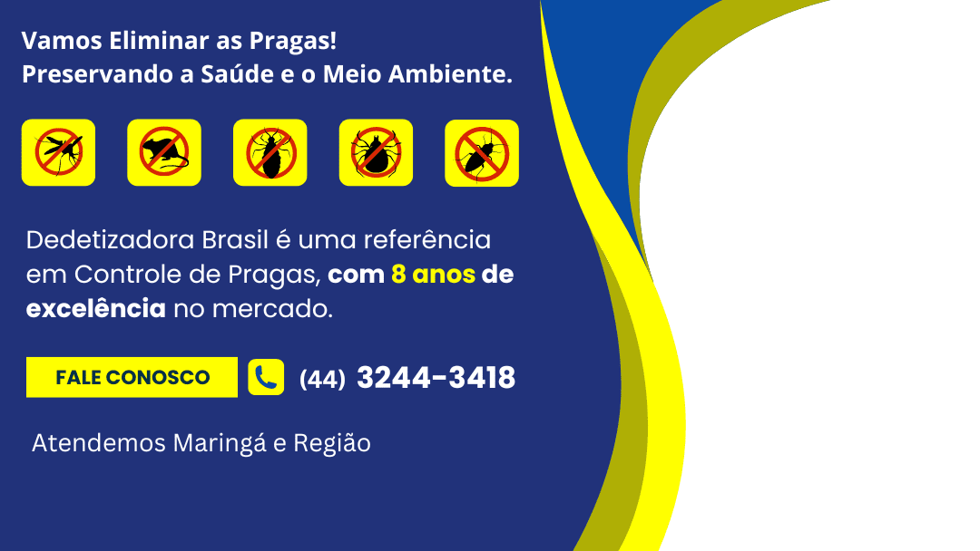 Dedetizadora Brasil - 8 anos de excelência em atendimento em Maringá e Região